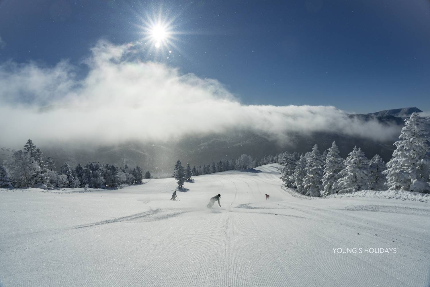 【北海道】志賀高原王子大飯店 日本滑雪雪票