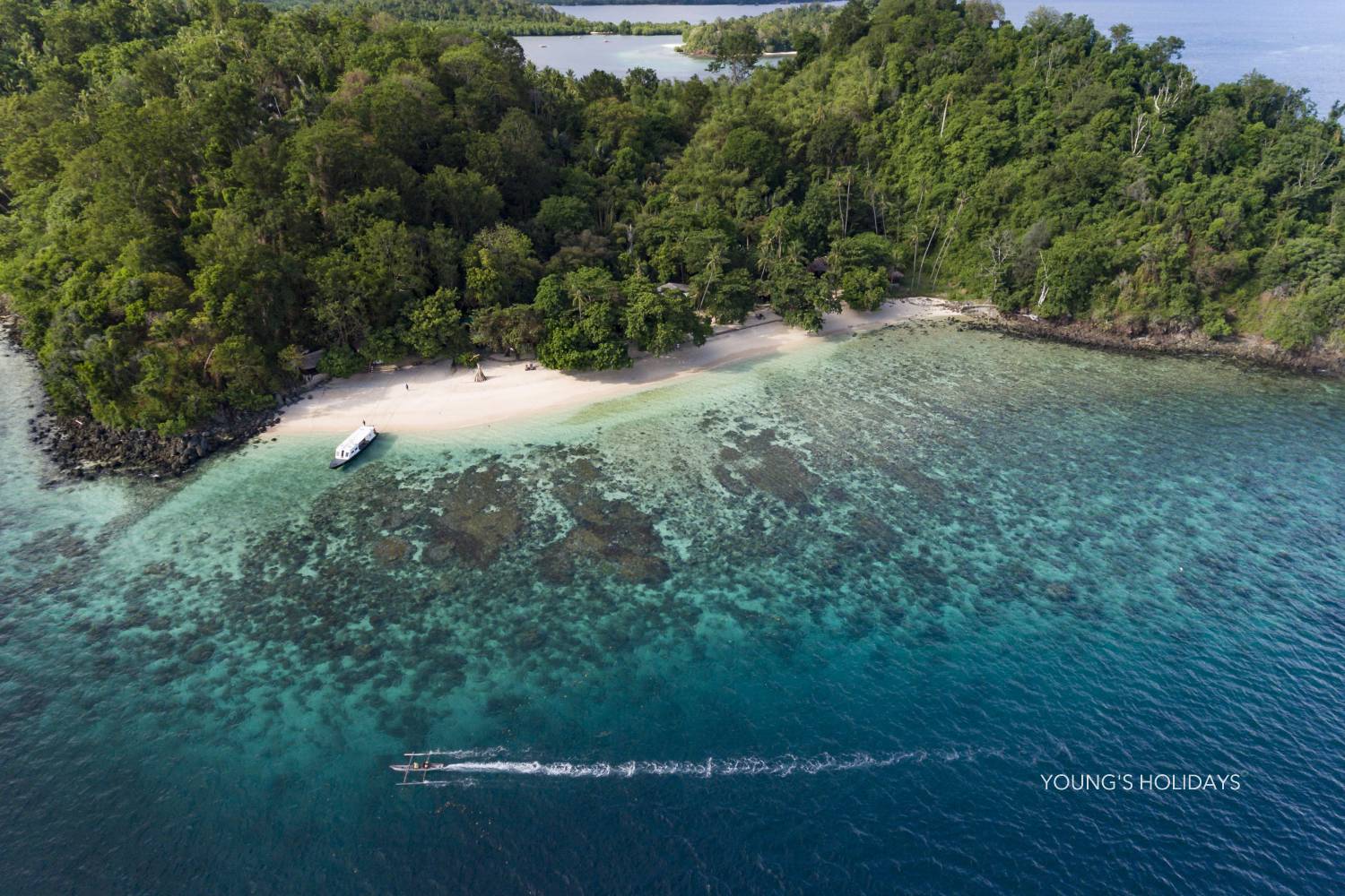【Indonesia】 Murex Bangka Dive Resort  5 days 4 nights diving package