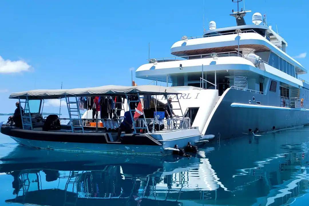 【Palau】M/Y Black Pearl 豪華帛琉船潛套票