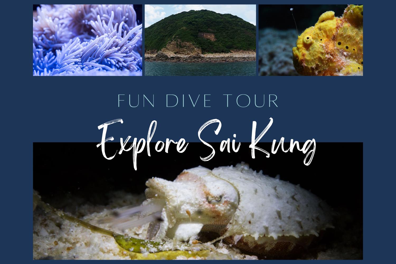 【香港潛水體驗】西貢癩痢Fun Dive 船潛日間體驗(2023年4月29日）