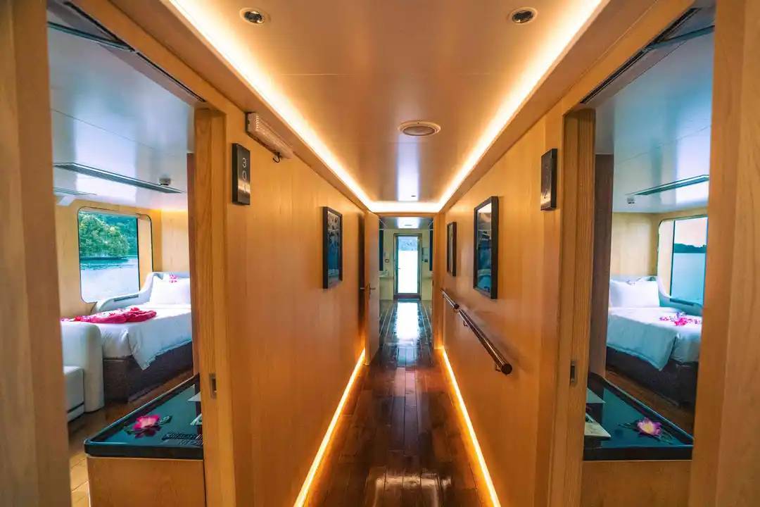 【Palau】M/Y Black Pearl 豪華帛琉船潛套票