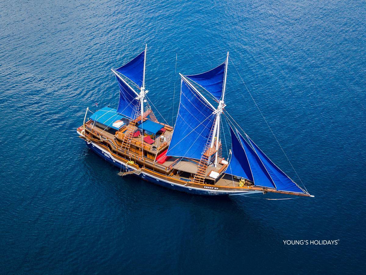 【Indonesia】2026年8月31至6日 7日6夜 印尼科莫多 M/V CHENG HO船潛水團*隨團教練David sir