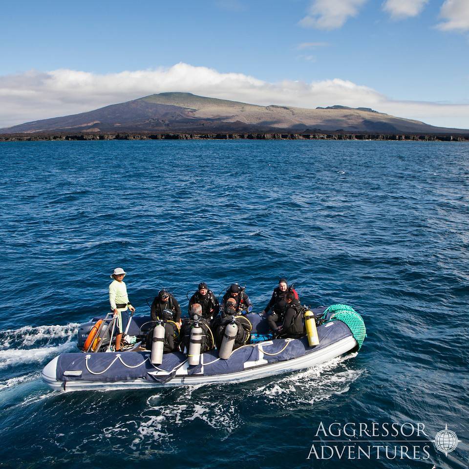 【Ecuador】Aggressor Liveaboard-Galapagos Aggressor III 豪華厄瓜多爾船潛套票