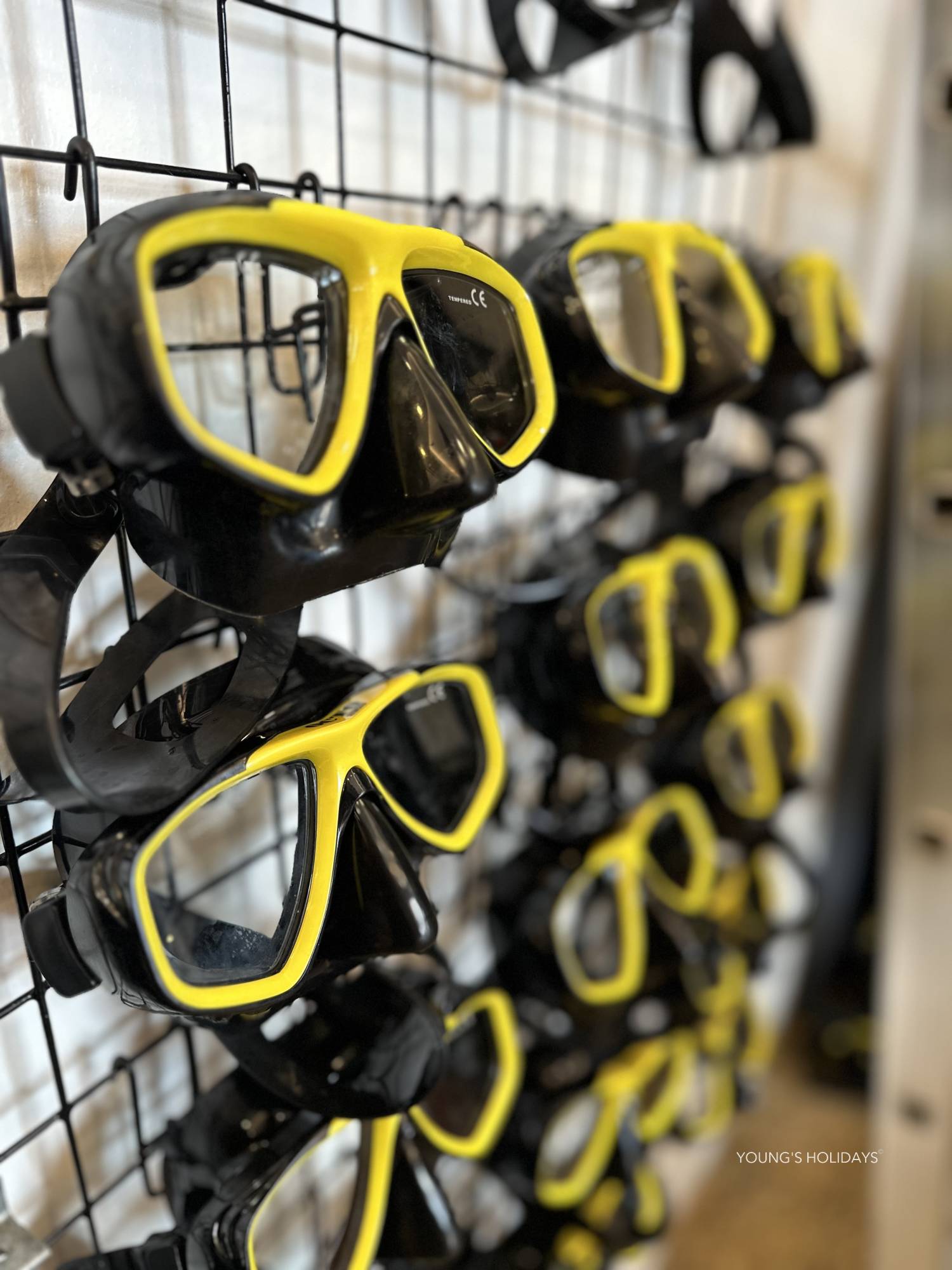 【Cebu】Never Die Ve Training Center Philippines Diving package