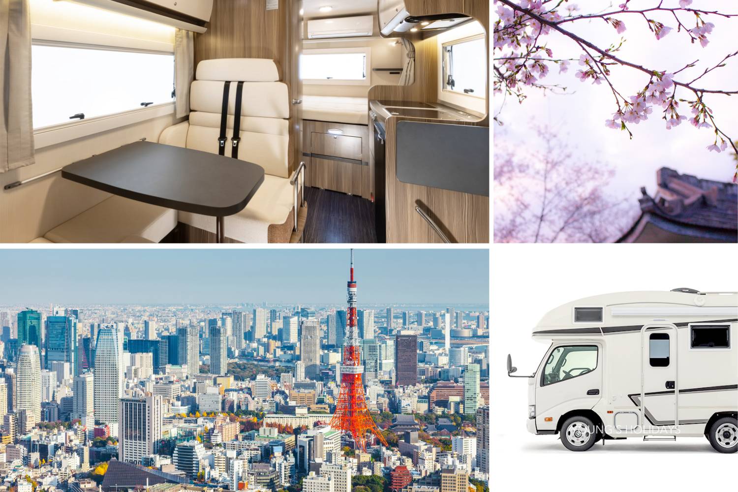 【Narita Airport】Japan Tokyo 4ppl RV Caravan 24 hours Rental Experience(VT-ZIL NOBLE)