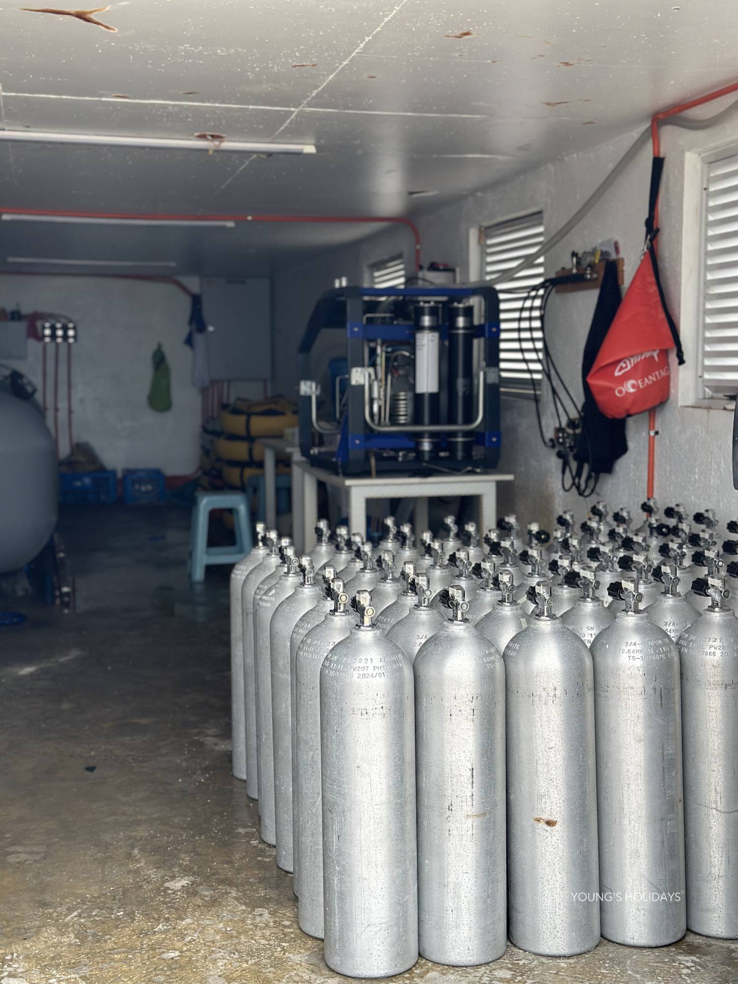 【Cebu】Never Die Ve Training Center Philippines Diving package