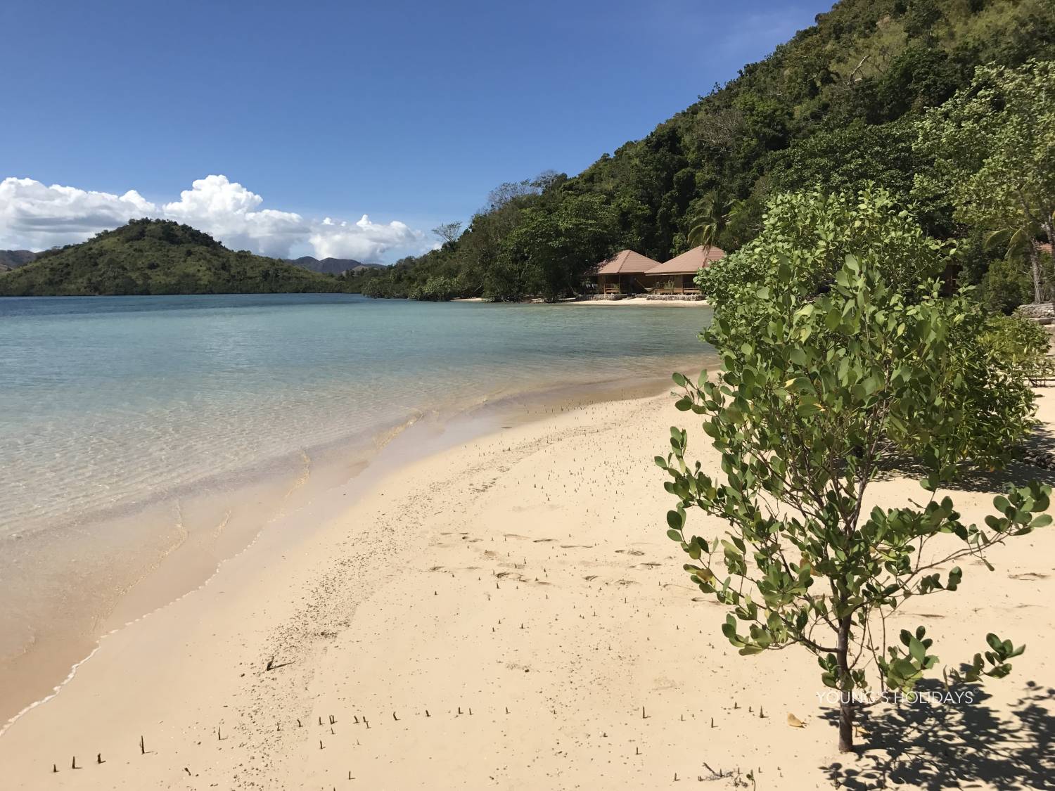 【Coron】2025年4月30日-5月5日 6日5夜 菲律賓科隆島潛水團 *隨團教練Tony