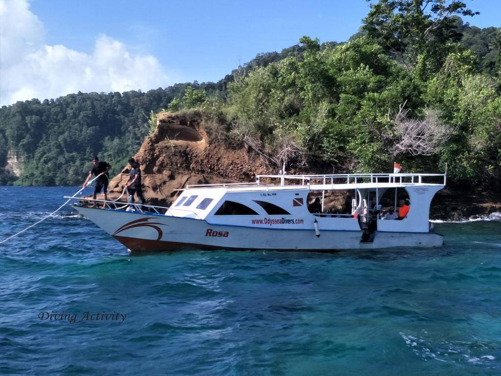 【Lembeh】藍碧島Cocotinos Lembeh Resorts印尼潛水自由行套票