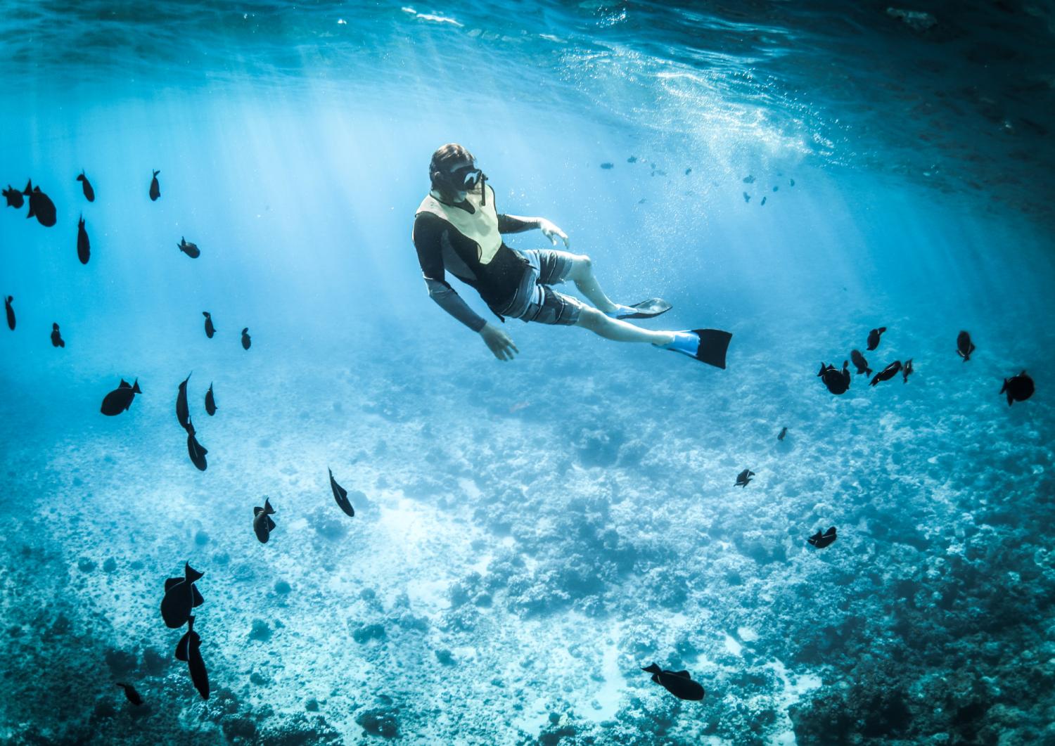 【Okinawa】沖繩恩納村青之洞窟潛水/浮潛體驗
