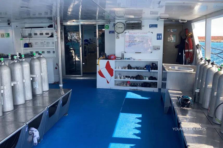 【Ecuador】Liveaboard- Calipso Diving Package
