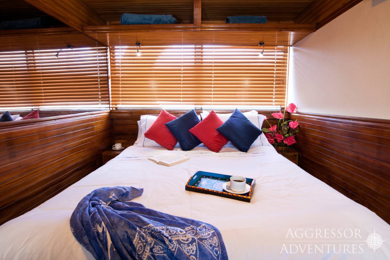 【Ecuador】Aggressor Liveaboard-Galapagos Aggressor III 豪華厄瓜多爾船潛套票