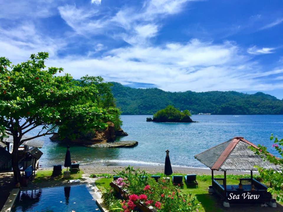 【Lembeh】藍碧島Cocotinos Lembeh Resorts印尼潛水自由行套票
