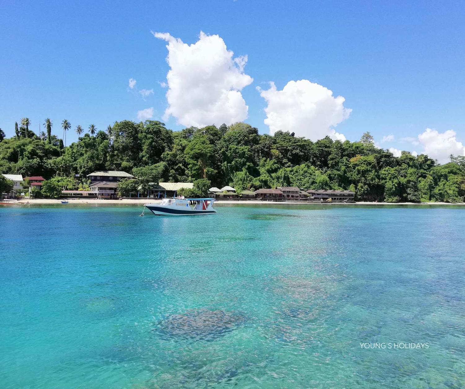 【Manado】Bastianos Bunaken Dive Resort 6 days 5 nights Indonesia diving package
