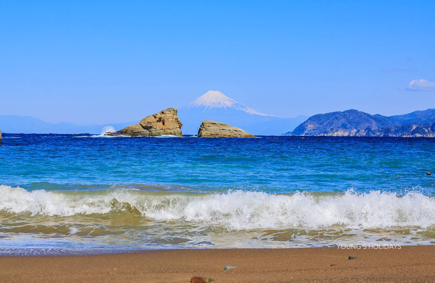 【伊豆】雲見 / 神子元島 與鎚頭鯊共游4日3夜日本潛水自由行套票