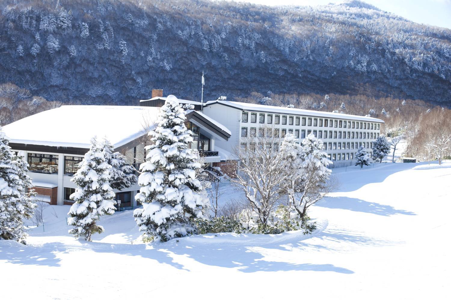 【長野】志賀高原王子大飯店 （西館）日本滑雪自由行套票