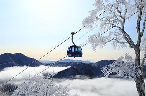 【Niigata】Naeba Prince Hotel Japan Ski Package