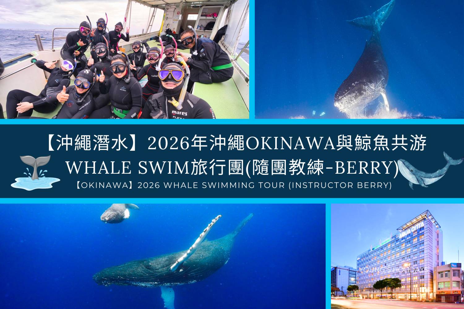 【沖繩潛水】2026年沖繩Okinawa與鯨魚共游Whale Swim旅行團(隨團教練-Berry)