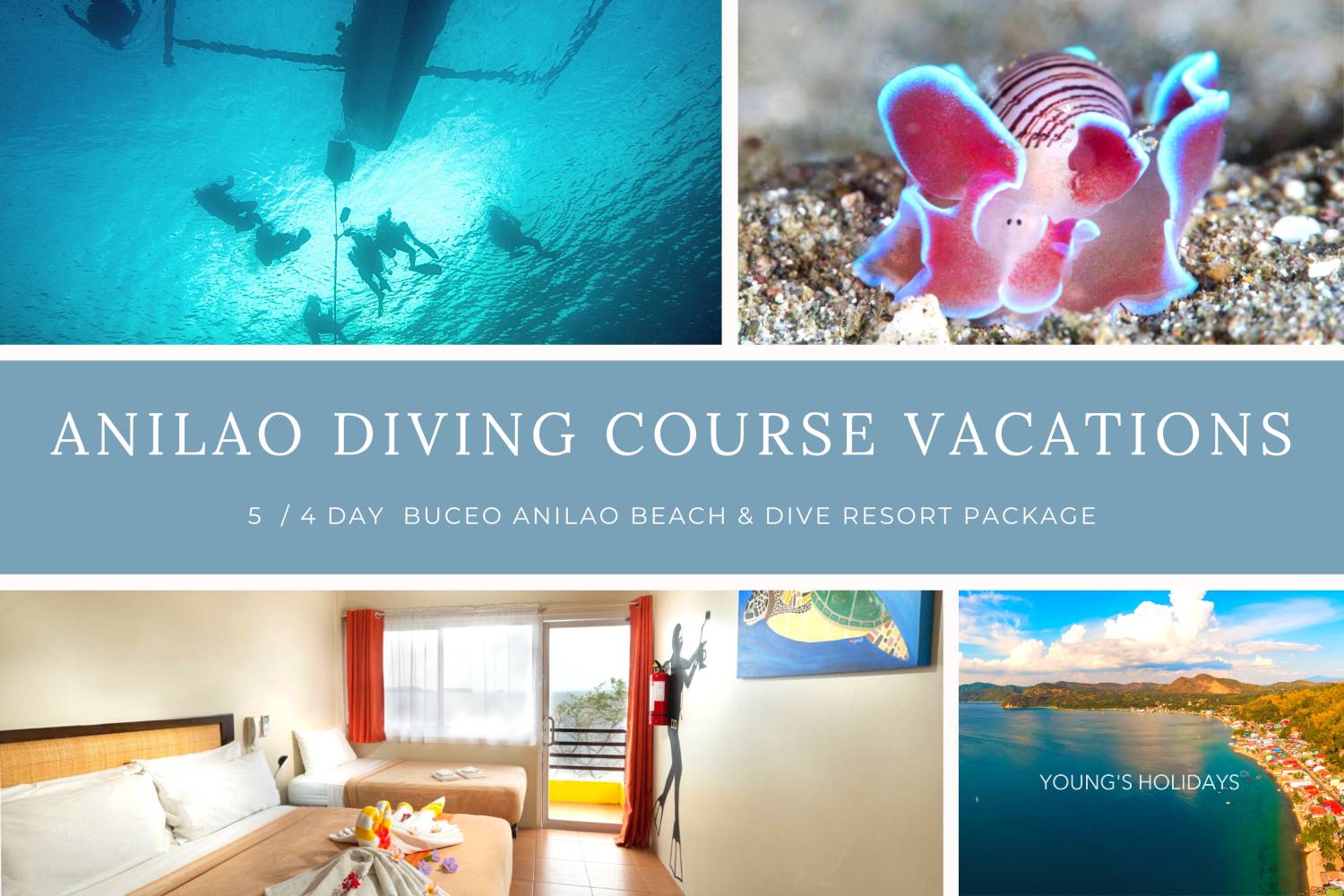 【Anilao】Buceo Anilao Beach & Dive Resort 5/4 Days PADI OW/AOW Diving Course Vacations Package