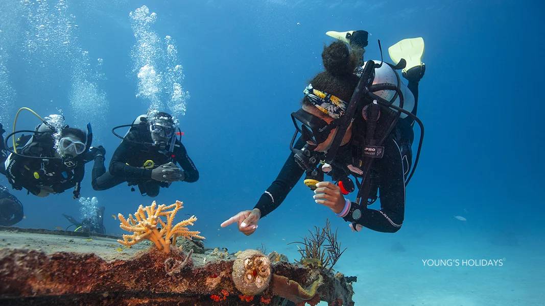 PADI Divemaster Course