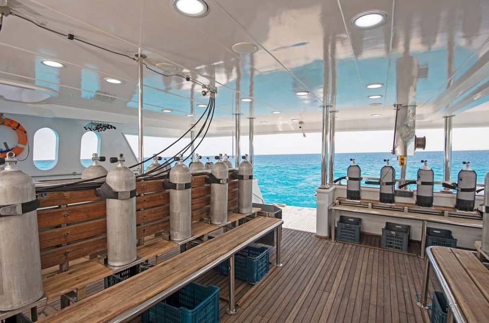 【Egypt】Master Liveaboard-Blue Horizon 埃及船潛套票
