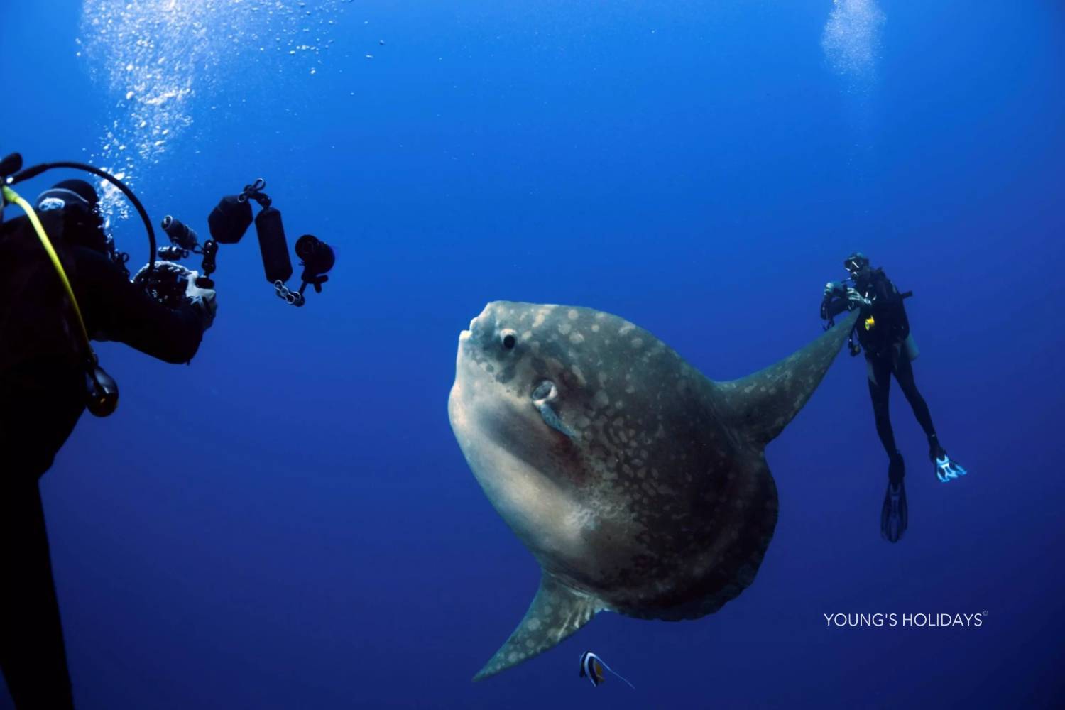 【Bali】2026年9月26至10月3日 8日7夜印尼峇里島潛水團*隨團教練Berry