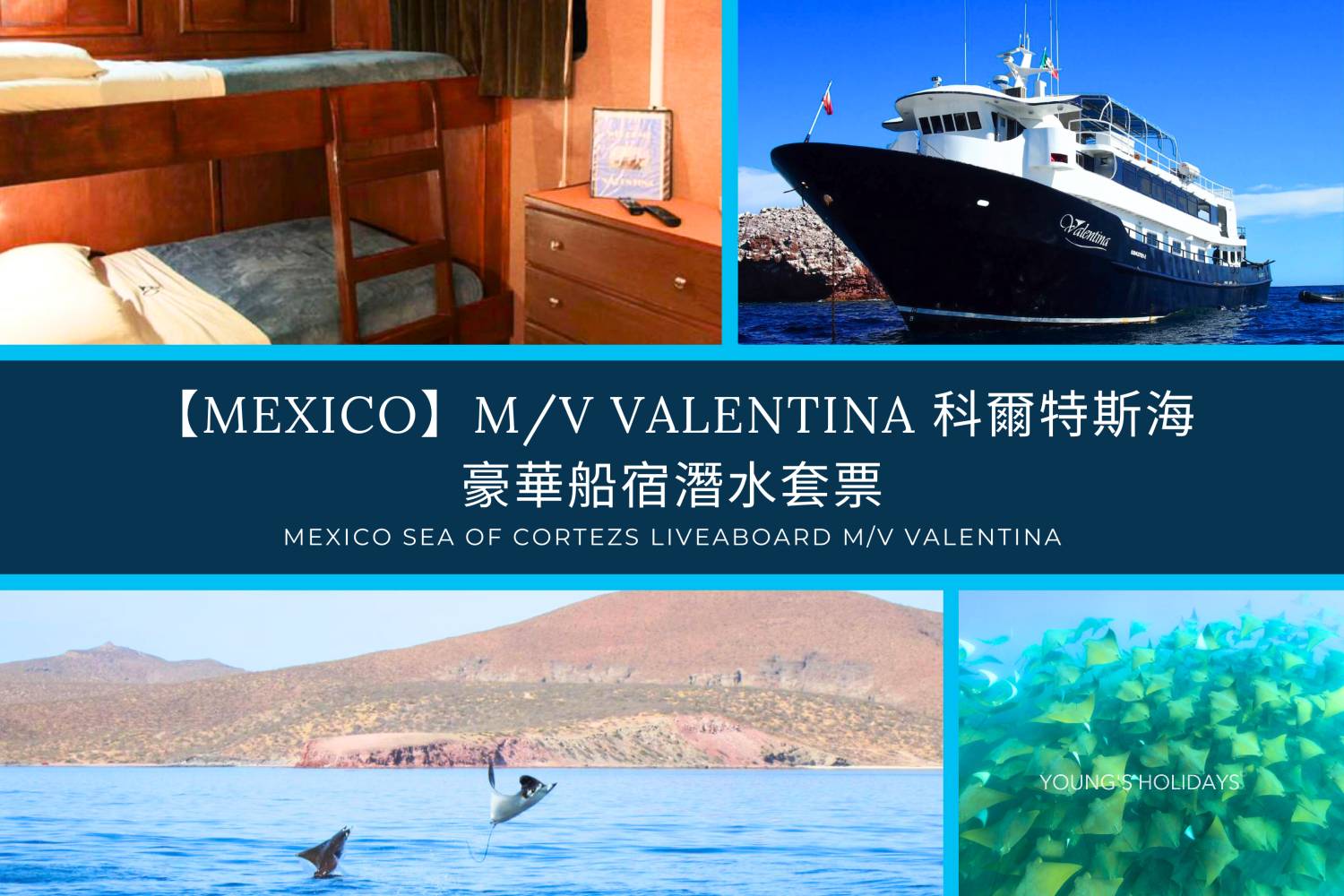 【Mexico】M/V Valentina 科爾特斯海 豪華船宿潛水套票