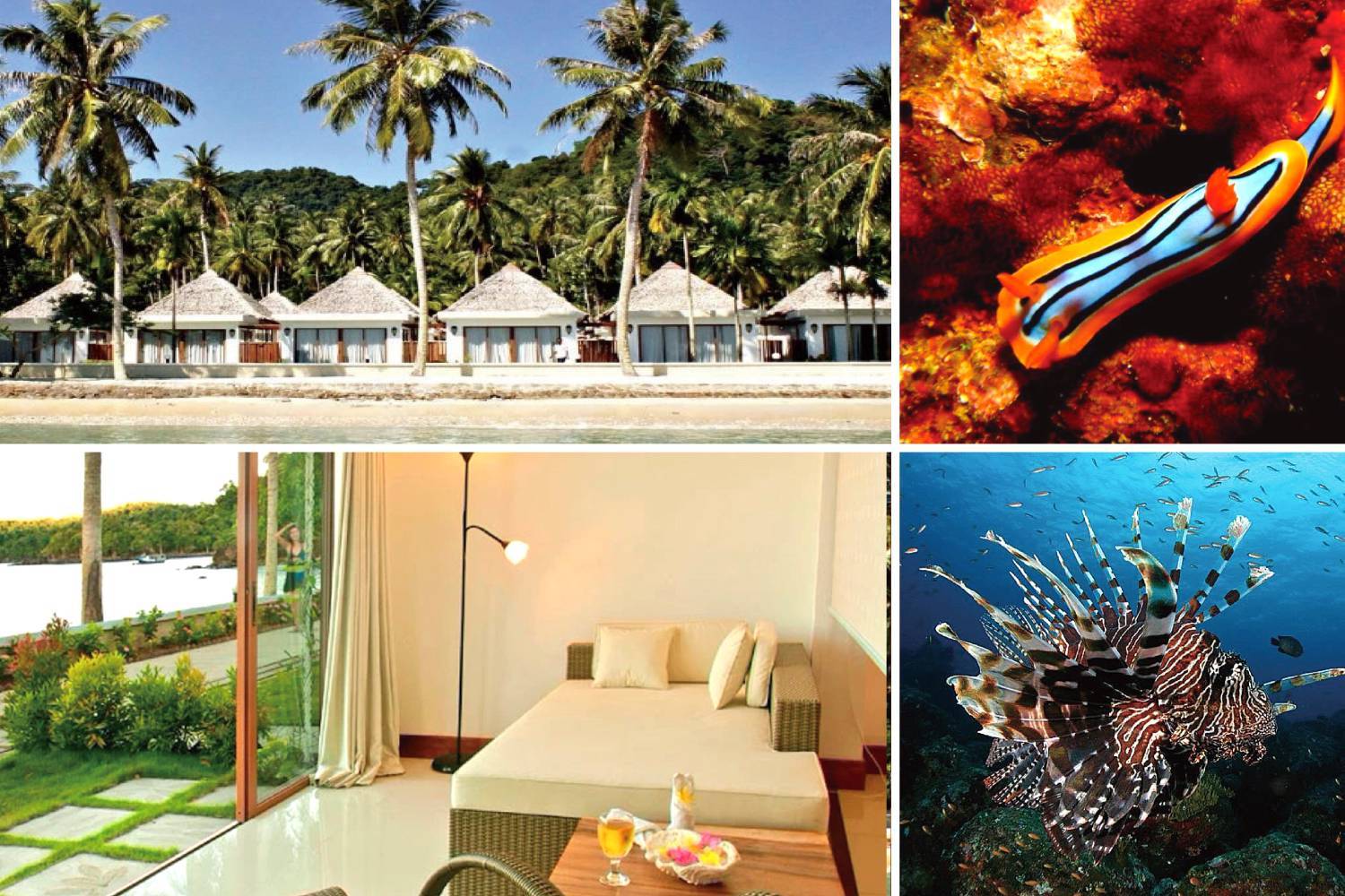 【Indonesia】Pulau Weh Resort 6 days 5 nights diving package