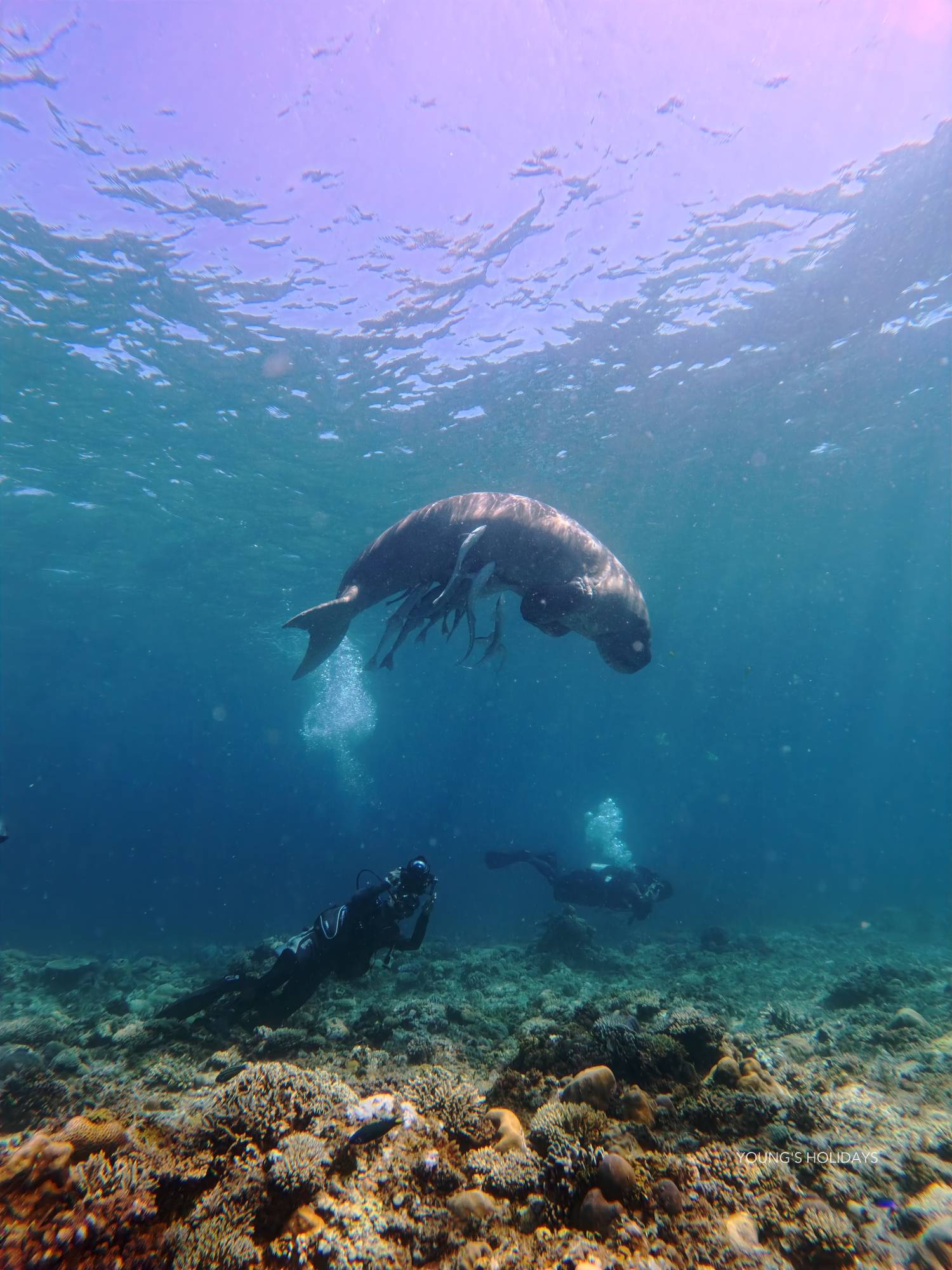 【Coron】2025年4月30日-5月5日 6日5夜 菲律賓科隆島潛水團 *隨團教練Tony