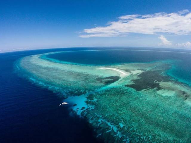 【Tubbataha】Atlantis Dive Resort & Liveaboard - Atlantis Infiniti 圖巴塔哈船潛套票