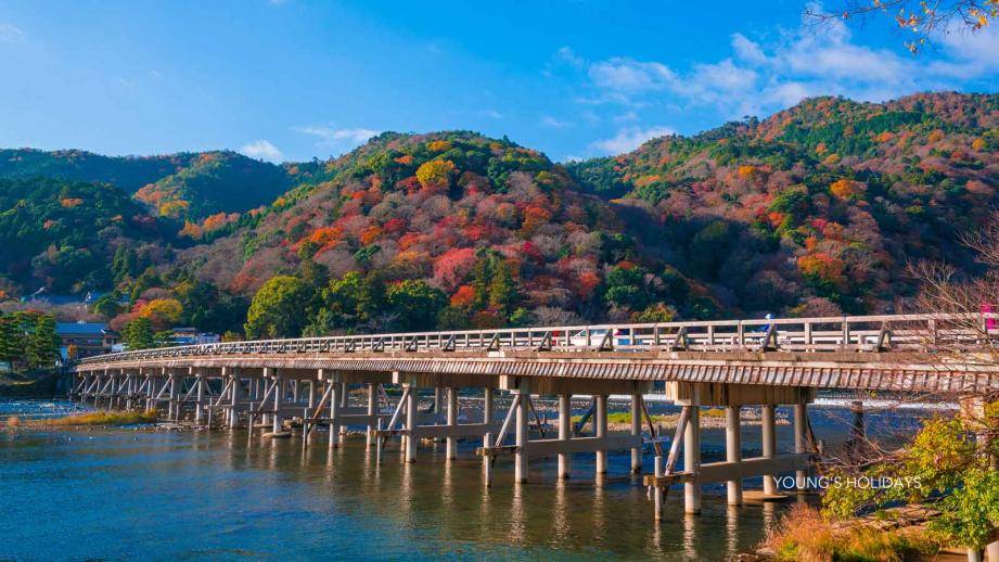 【Kyoto】Japan Rental 4 People Caravan RV Road Trip Experience (C-Happy1+)