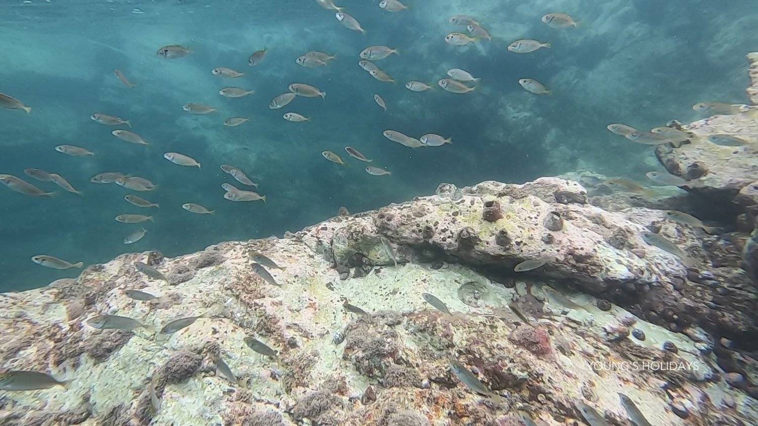 【西貢】白腊加甕缸灣浮潛/獨木舟/打咭一天遊(包白腊Cafe 午餐)