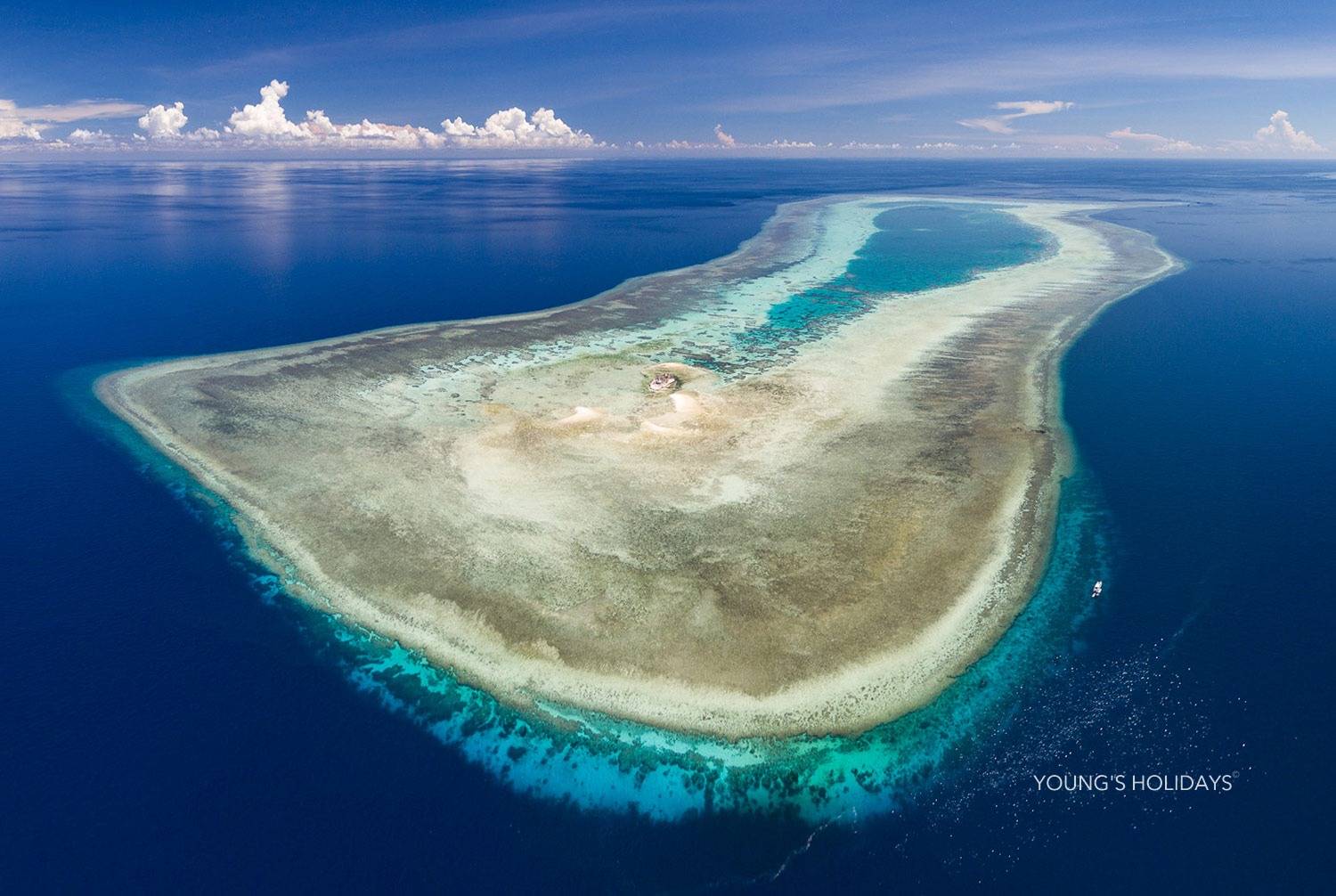 【Tubbataha】Atlantis Dive Resort & Liveaboard - Atlantis Adventurer 豪華圖巴塔哈船潛套票
