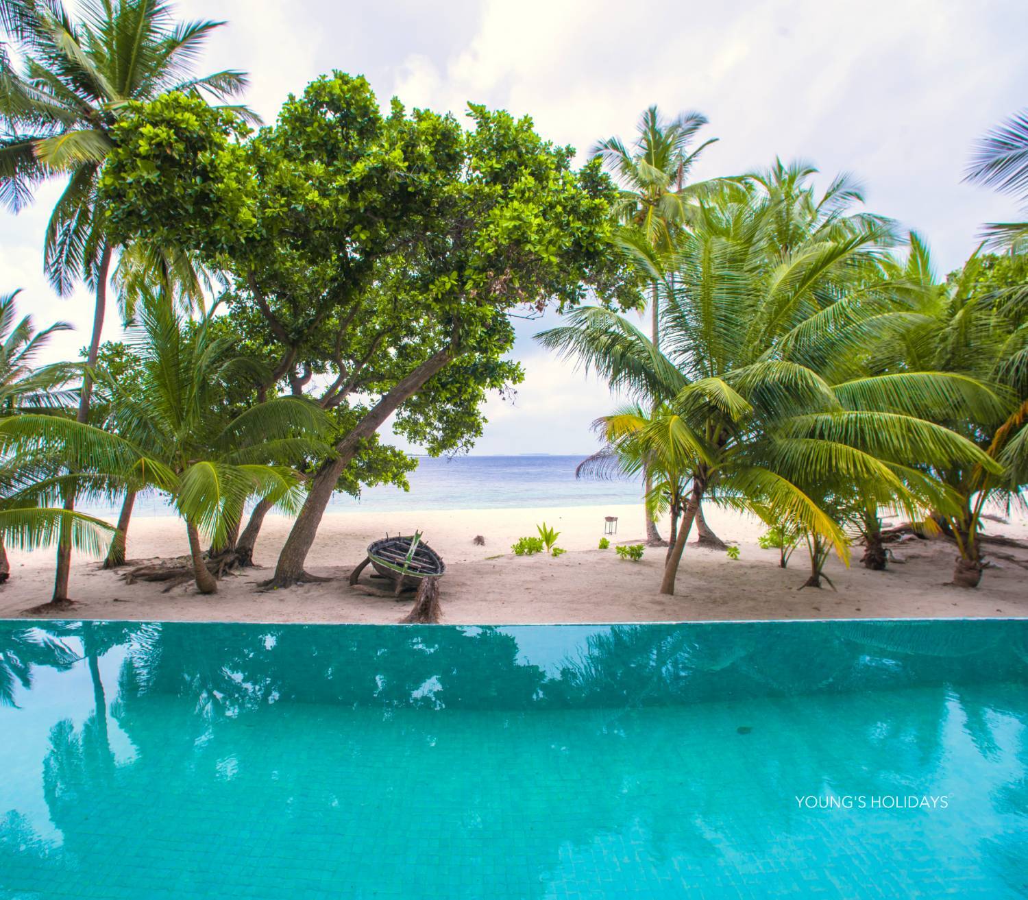 【Maldives】Hanifaru Bay Kiha Beach Resot 5 day 4 night diving package