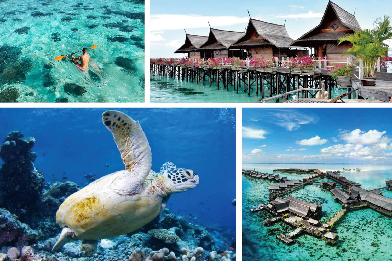 【Sipadan】Kapalai Dive Resort 5 day 4 night hotel diving package