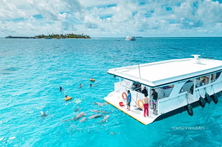 【Maldives】Maldives Liveaboard - Maldives Legend Odyssey 豪華船宿潛水套票 5日/ 8日