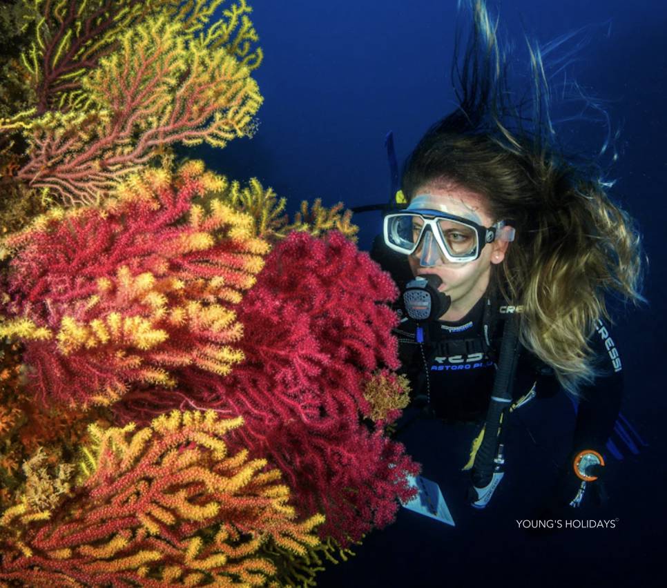 【Fiji】Garden Island Resort Diving package