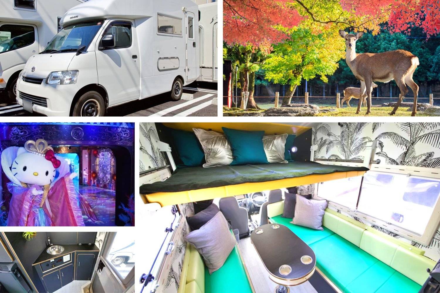 【關西大阪】五人日本露營車24小時自駕遊租用體驗(OS-Neouero)