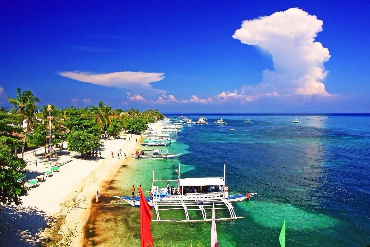 *Full*【Philippines】Malapascua 6 Days 5 Nights Tour 26th April to 02nd May 2024