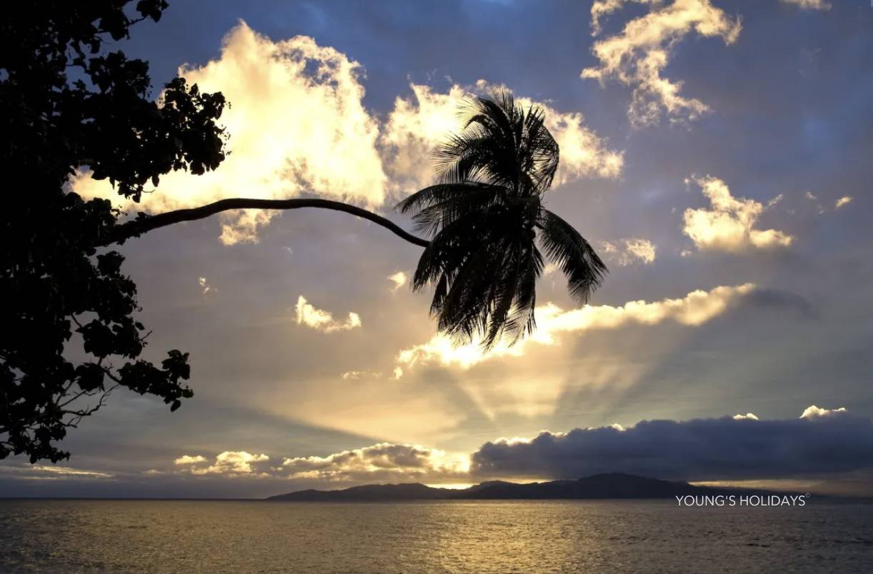 【Fiji】Garden Island Resort Diving package