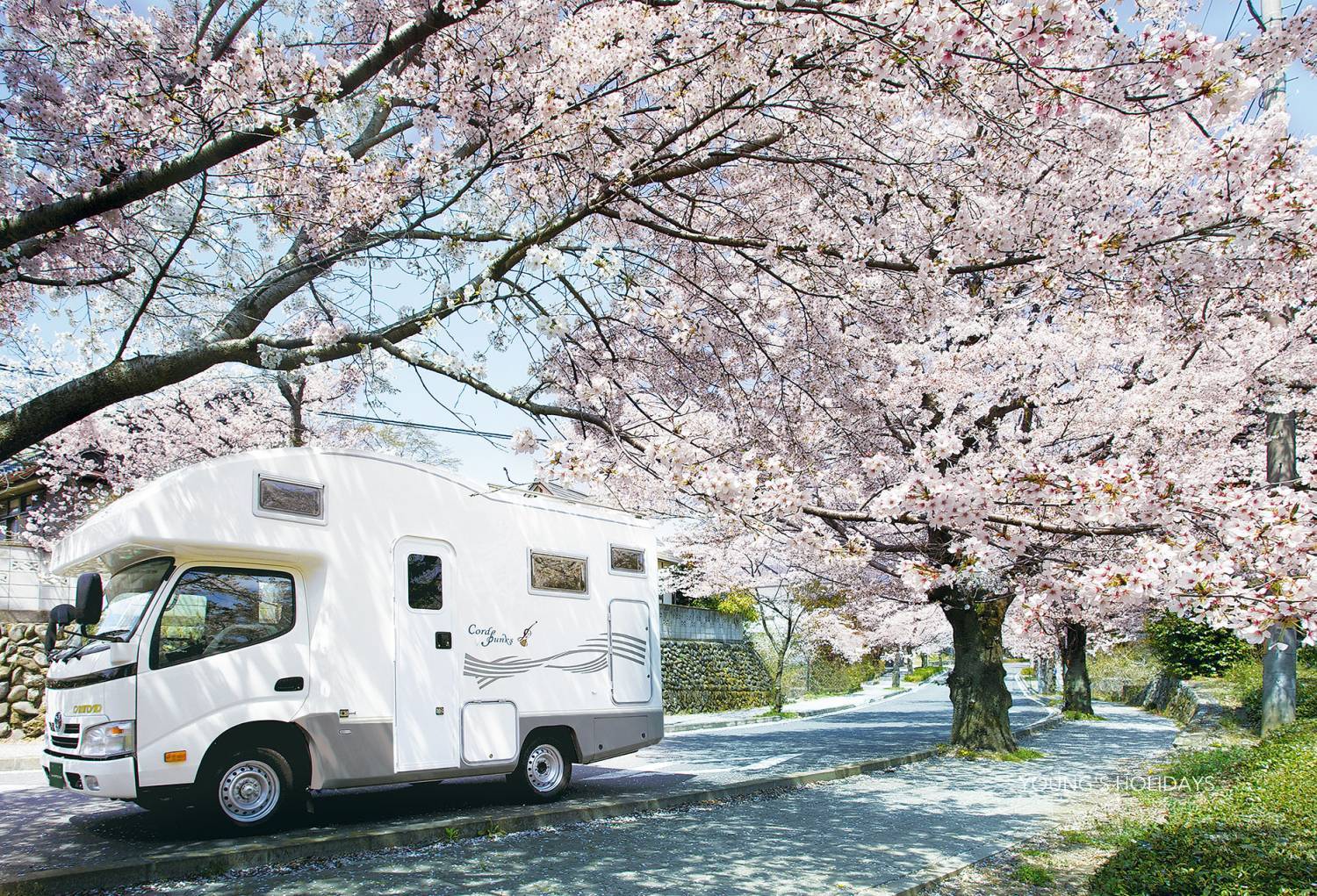 【Tokyo Narita】Japan 5ppl RV Caravan 24 hours Rental Experienc(VCBS)