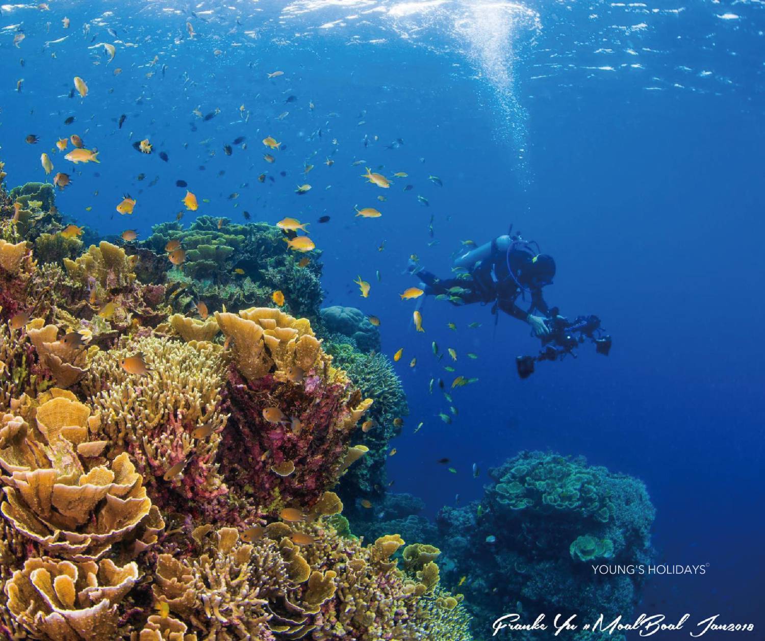 Philippines Paradive Moalboal Scuba Diving Resort Package