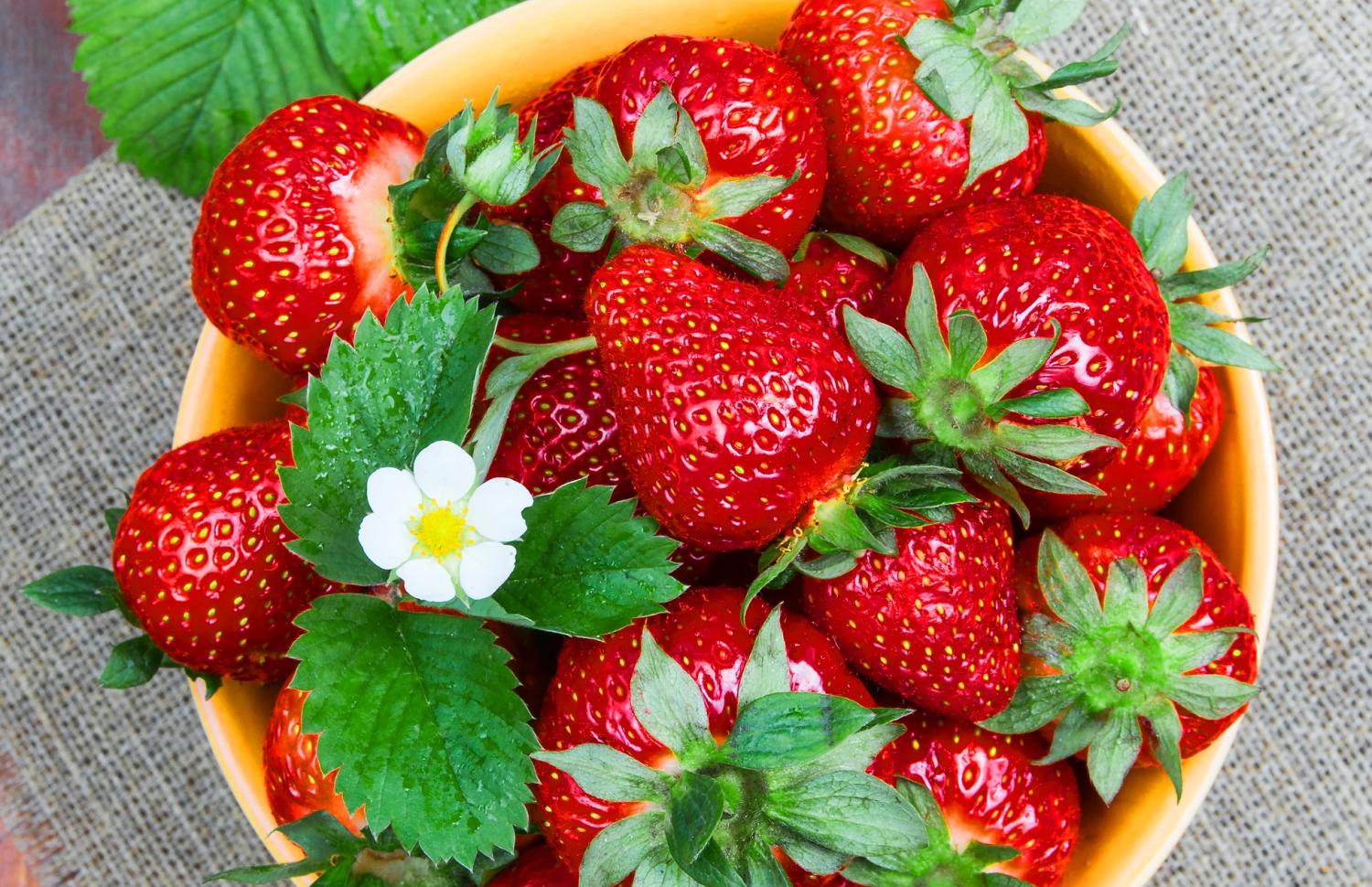 【莓香四溢】大阪Inaoka 水果園30分鐘草莓吃到飽體驗