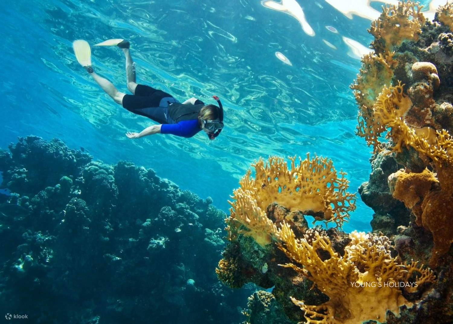 【喀比】2026年10月16日-20日 5日4夜泰國喀比潛水團*隨團教練Nim sir