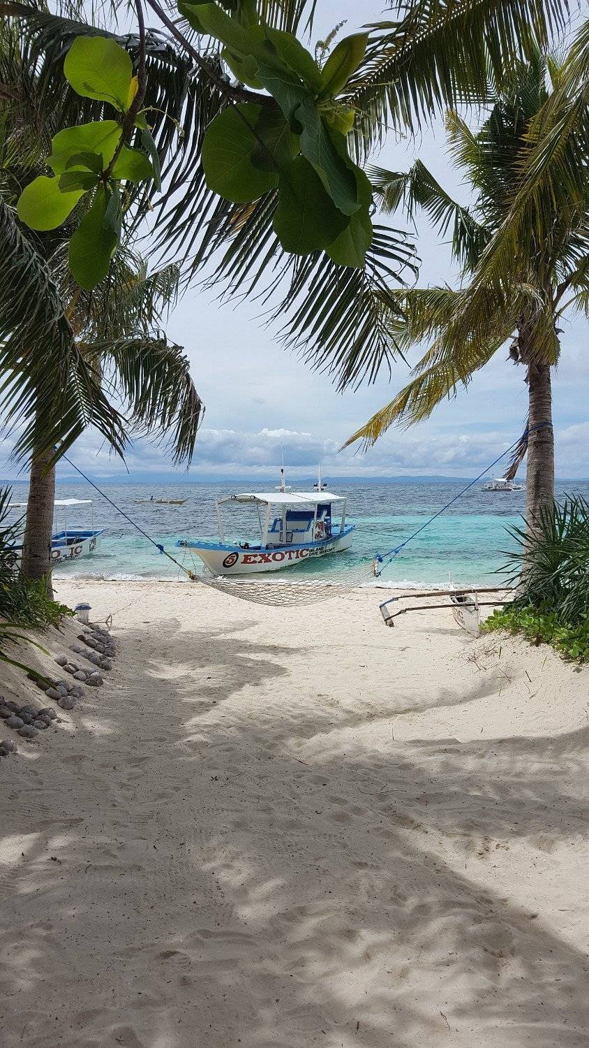 *Last 2 available *【Philippines】Malapascua 5 Days 4 Nights Tour 15th to 19th june 2024