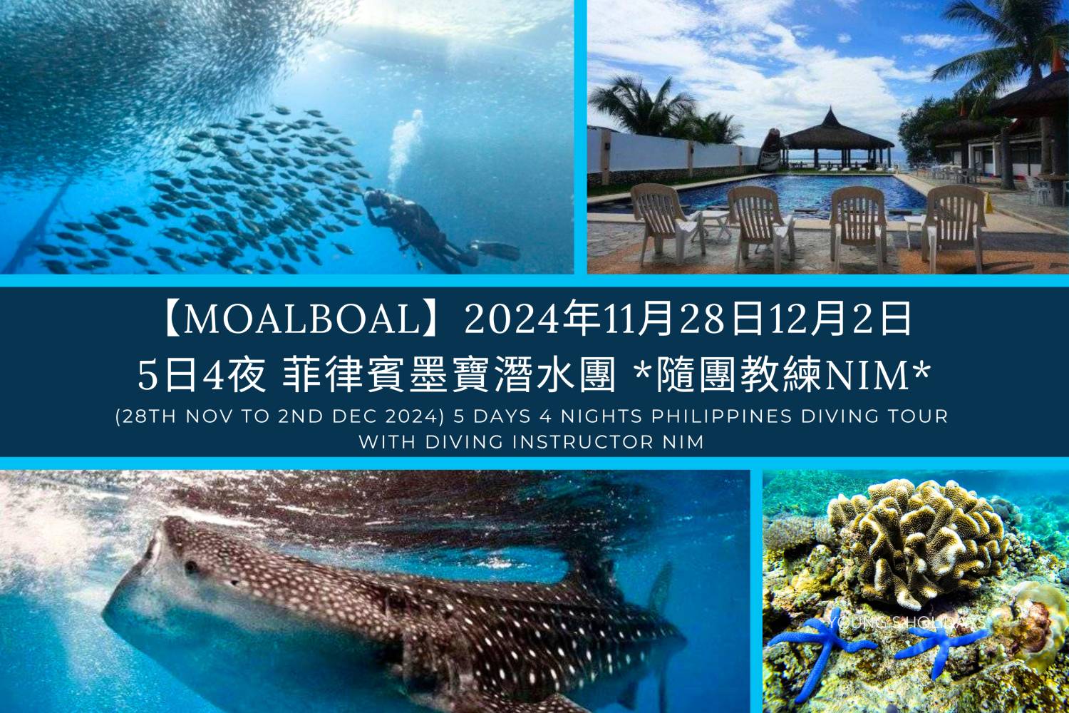 *最後兩位*【Moalboal】2024年11月28日12月2日 5日4夜 菲律賓墨寶潛水團 *隨團教練Nim*