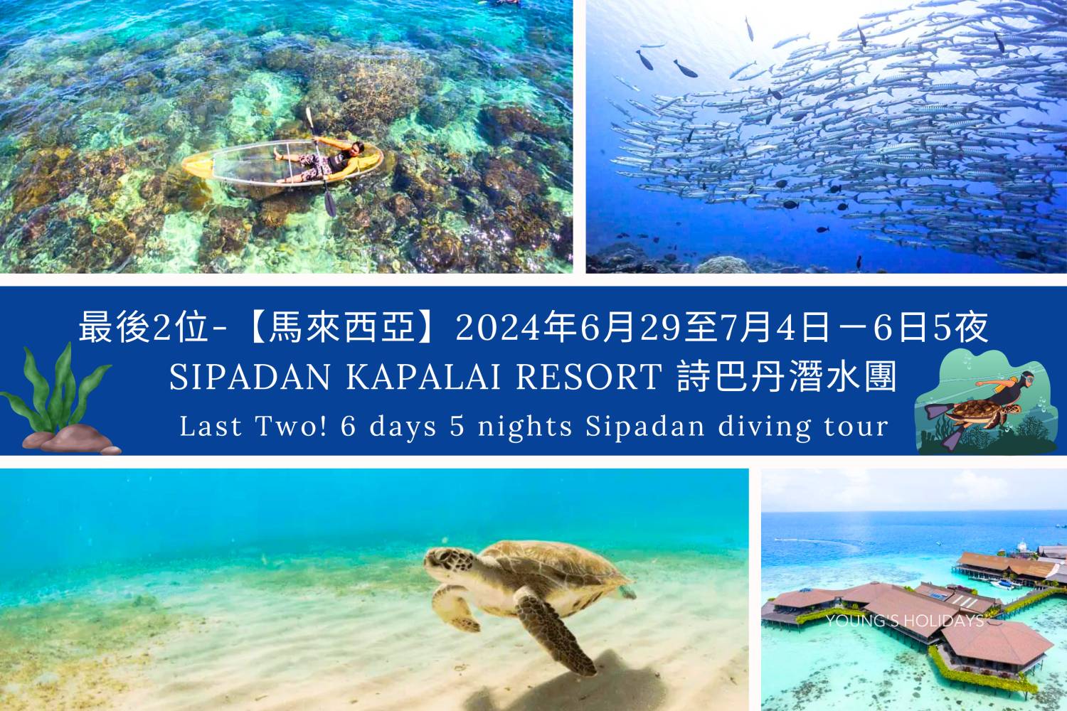 最後2位-【馬來西亞】2024年6月29至7月4日－6日5夜 Sipadan Kapalai Resort 詩巴丹潛水團