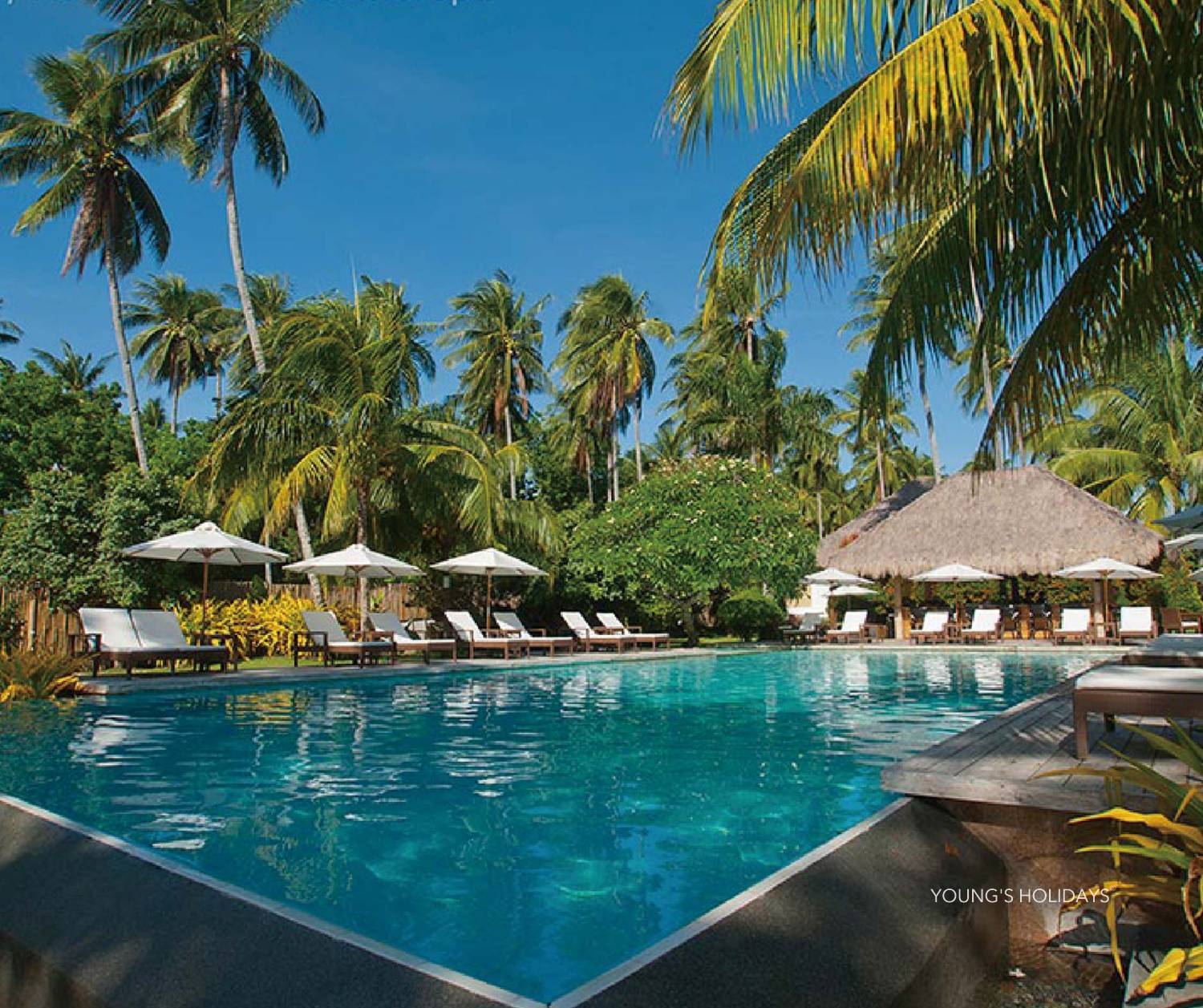 【Dumaguete】Atmosphere Resorts & Spa Philippines 5 days 4 nights diving package