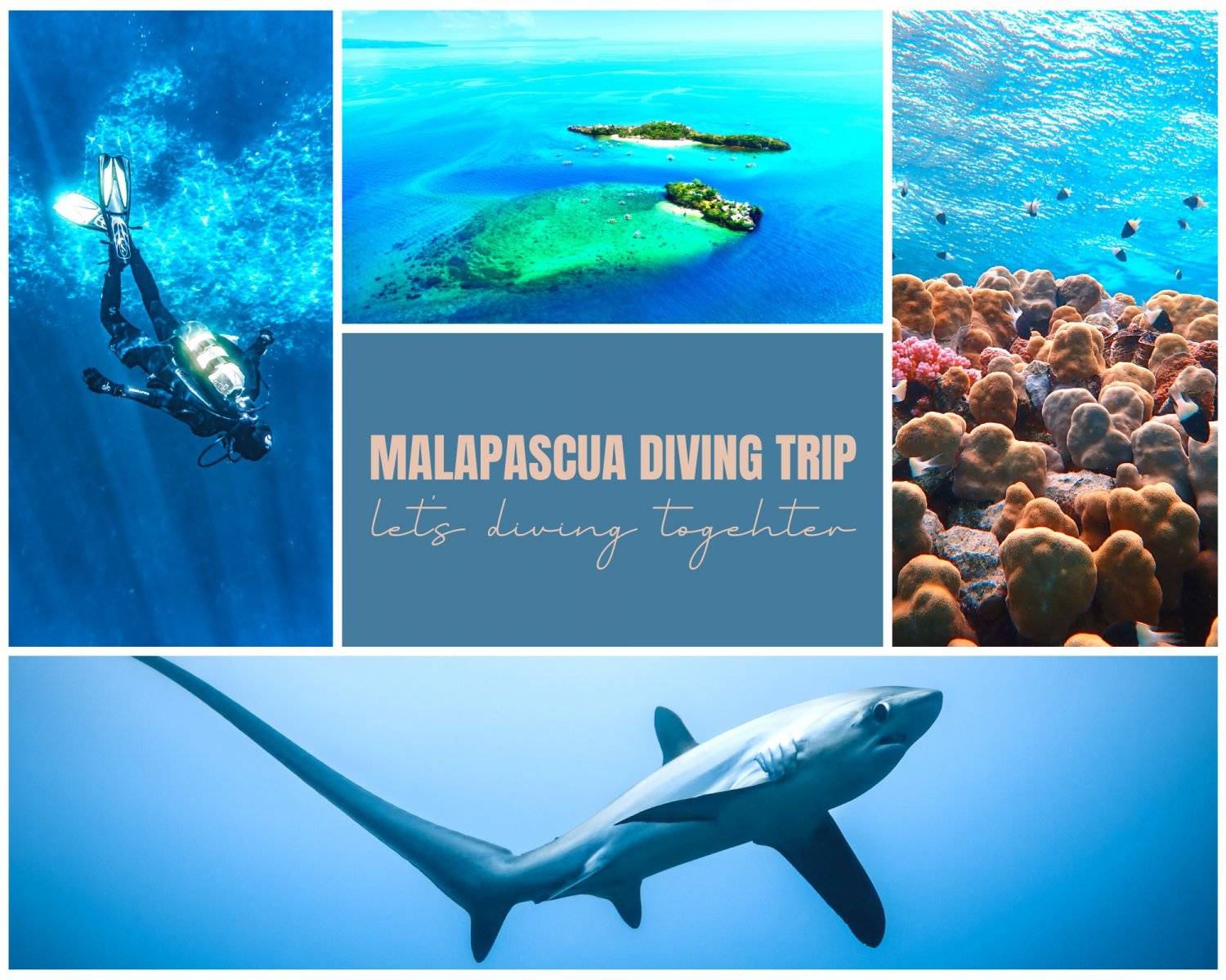 *Full*【Philippines】Malapascua 6 Days 5 Nights Tour 26th April to 02nd May 2024