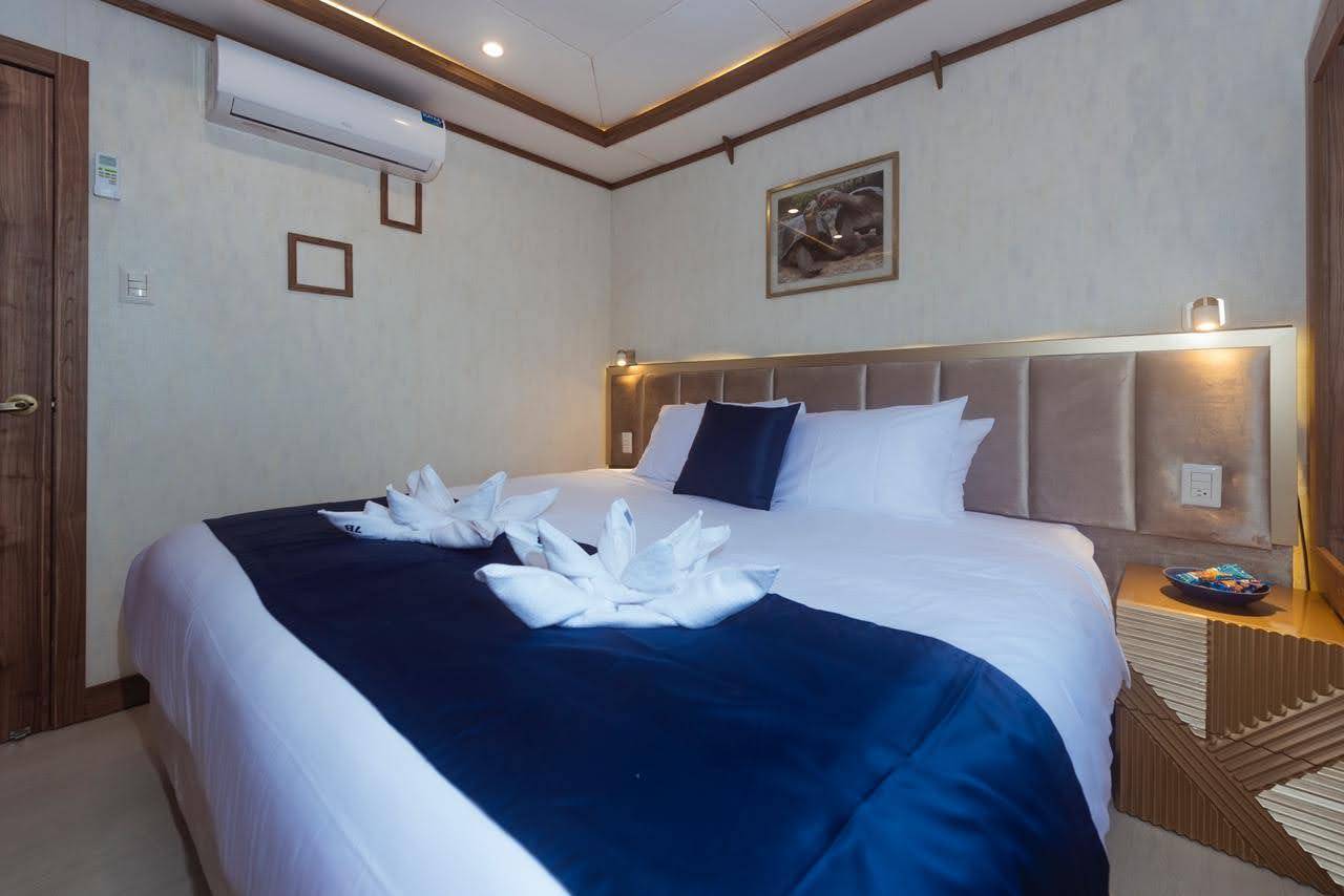 【Ecuador】Explorer Ventures-Tiburon ExplorerDiving Package