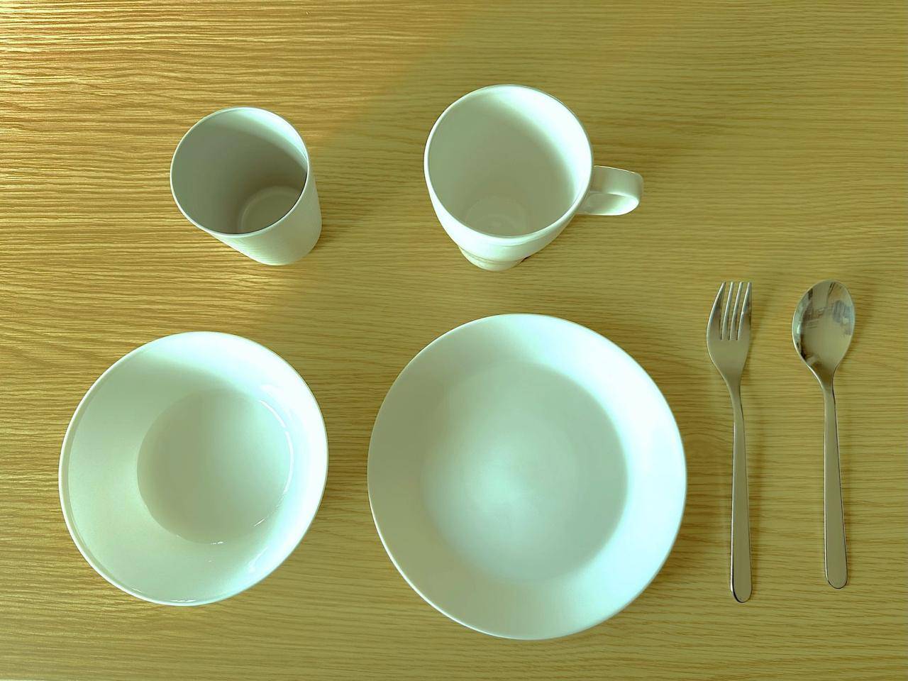 【Narita Airport】Japan Tokyo Caravan 24 hours Rental Experience(VT-ZiL Noble)